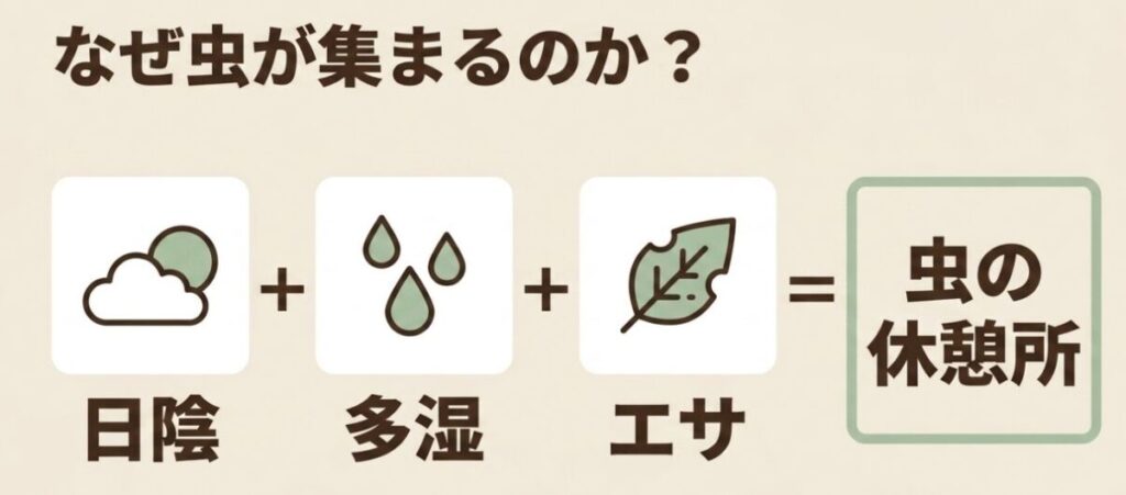 ウッドチップ:なぜ虫が集まるのか?日陰と多湿とエサが組み合わさることで、虫の休憩所になります。