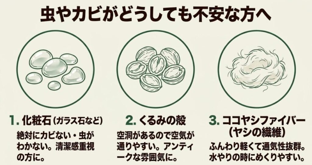 化粧石、くるみの殻、ココヤシファイバーなど虫やカビ対策に使える代用品を紹介するスライド