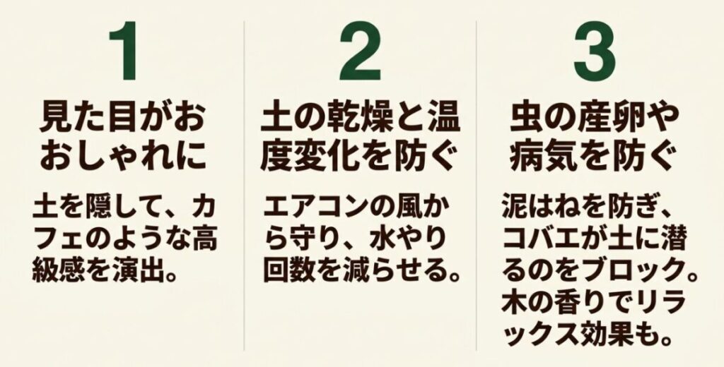 ウッドチップで土を隠す見た目の効果、乾燥防止、虫や病気の予防効果をまとめたスライド