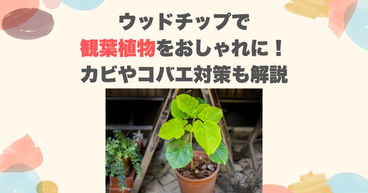 ウッドチップで観葉植物をおしゃれに！カビやコバエ対策も解説