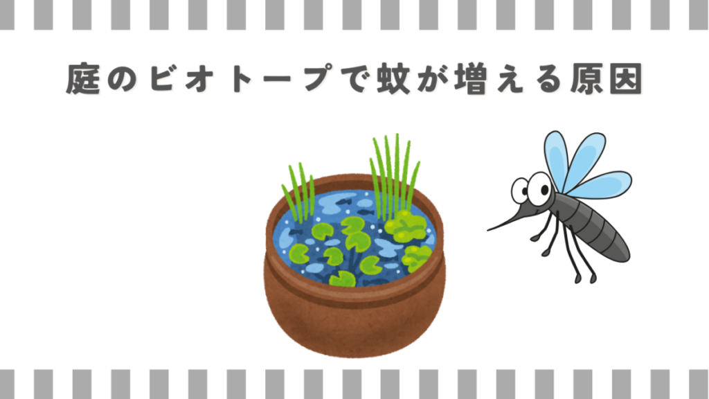 庭のビオトープで蚊が増える原因