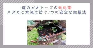 庭のビオトープの蚊対策｜メダカと水流で防ぐ7つの安全な実践法