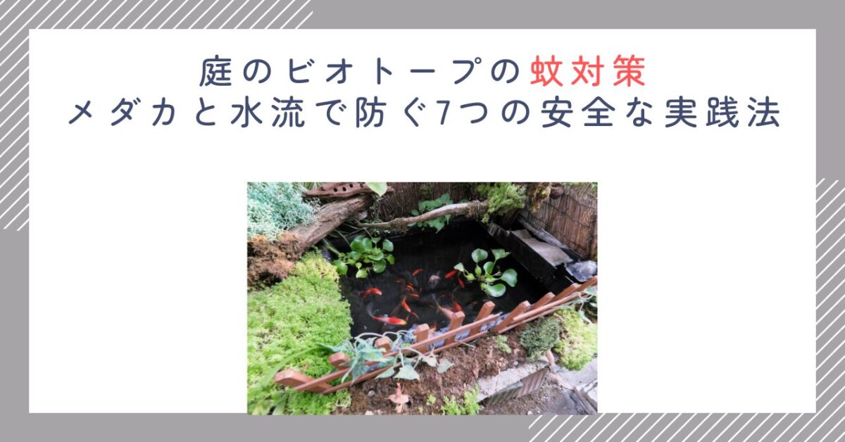 庭のビオトープの蚊対策｜メダカと水流で防ぐ7つの安全な実践法