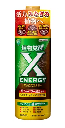 X-ENERGY