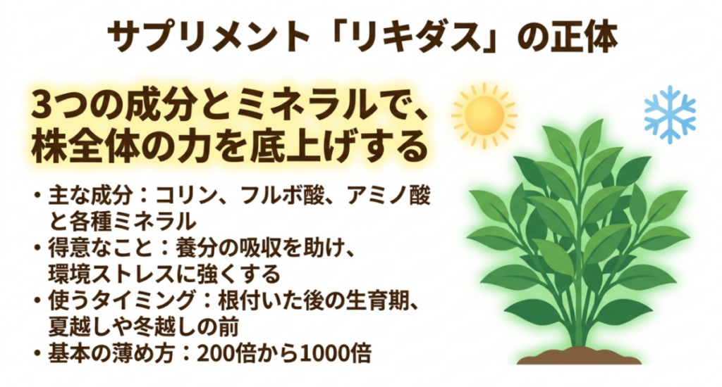 リキダスに含まれるコリン、フルボ酸、アミノ酸と各種ミネラルが養分吸収や根張り、環境ストレスへの備えを支えることを示す図
