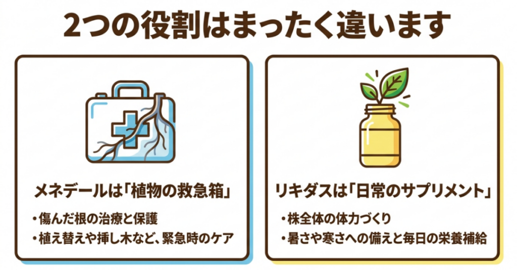メネデールは植え替えや挿し木など根へ負担がかかった直後、リキダスは根付いた後の日常管理に向くことを比較した図
