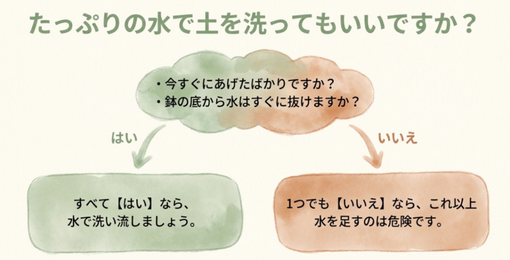 濃い液を与えた直後か、鉢底から水がすぐ抜けるかを確認し、土を水で洗うか判断する分岐図