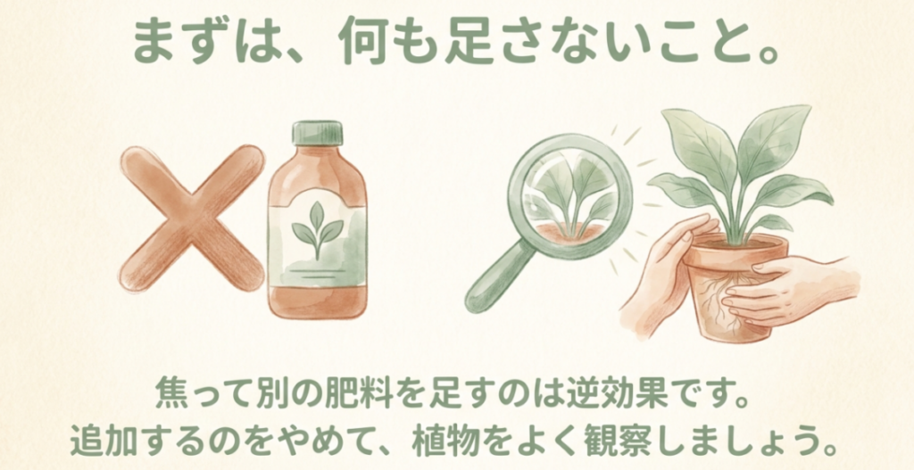 活力液や肥料を追加せず、鉢と根の状態を観察することが回復の基本だと示すイラスト