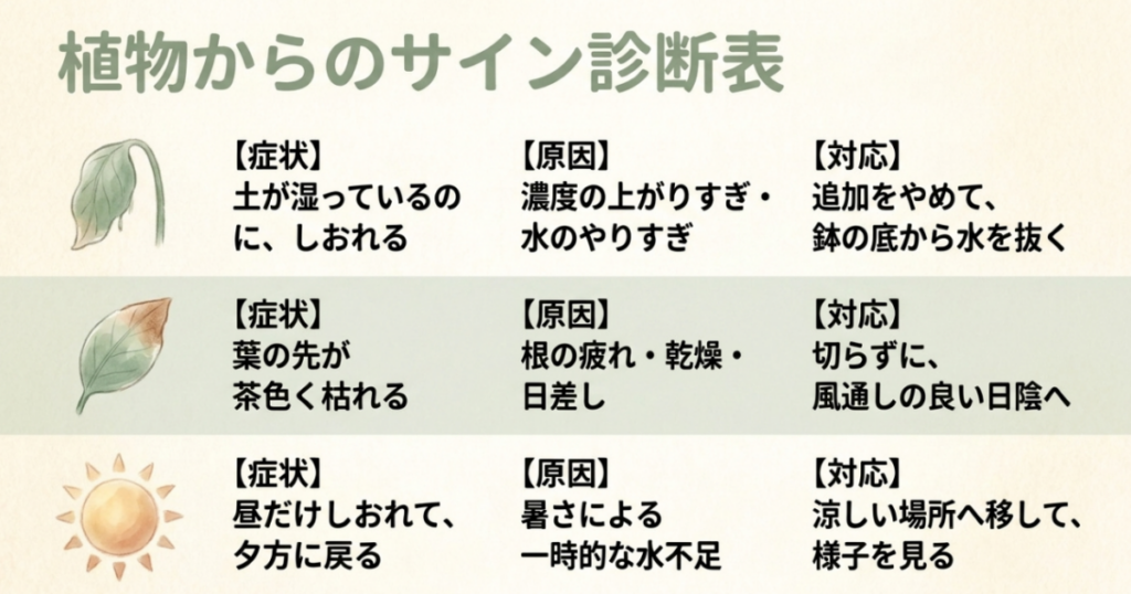 土が湿っているのにしおれる、葉先が茶色く枯れる、昼だけしおれる症状の原因と対応をまとめた診断表