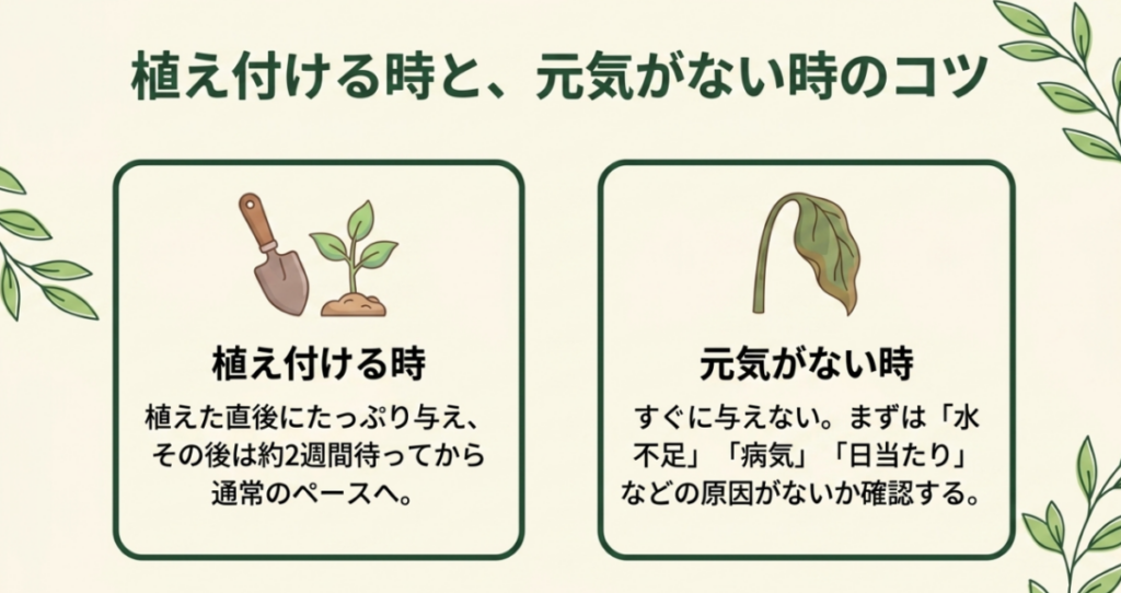 リキダスを植え付け直後に与えて約2週間後から通常のペースへ移し元気がない株は原因を先に確認する図