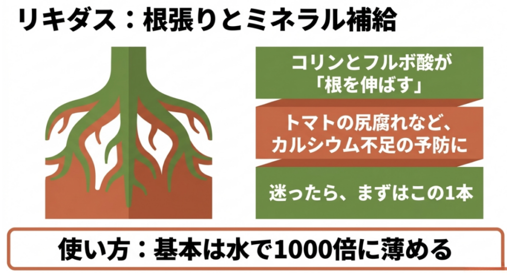 リキダスのコリンとフルボ酸による根張りのサポートや、カルシウム不足の予防に役立つ特徴を示した図