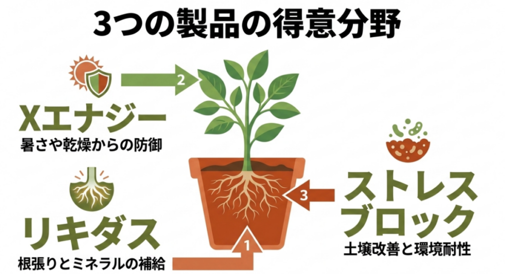 リキダスは根張りとミネラル補給、Xエナジーは暑さや乾燥への備え、ストレスブロックは土壌改善と環境耐性を得意とすることを示した図
