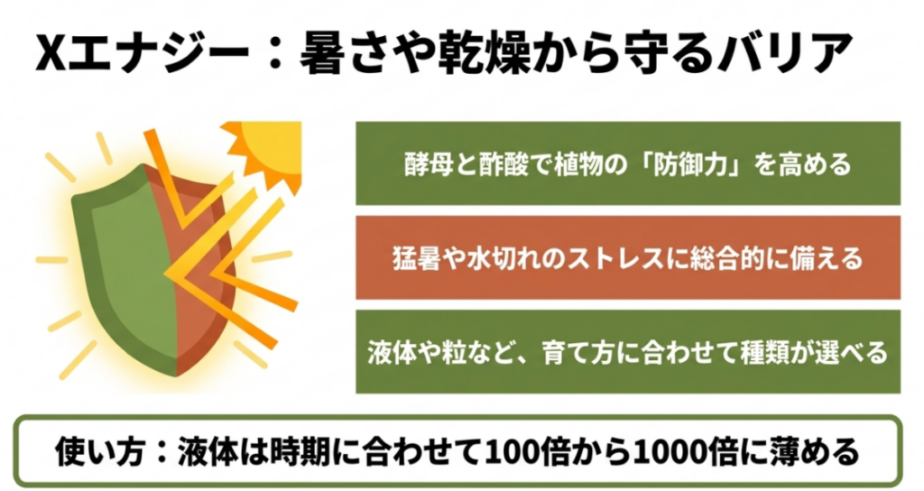Xエナジーが酵母や酢酸などの成分で植物のストレス対応を支え、液体や粒タイプから選べることを示した図