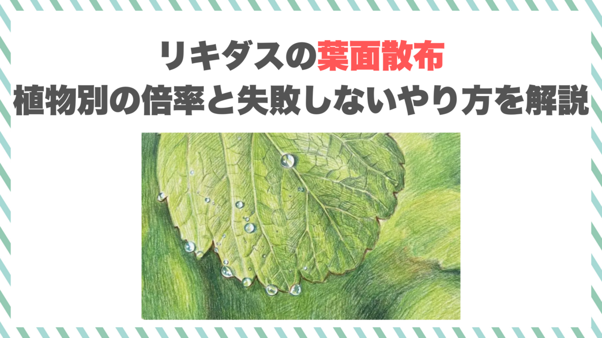 リキダスの葉面散布｜植物別の倍率と失敗しないやり方を解説