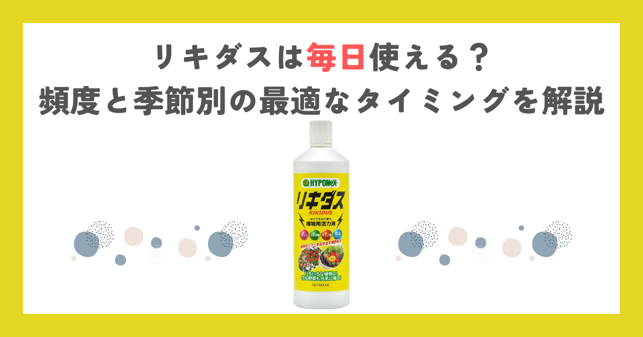 リキダスは毎日使える？頻度と季節別の最適なタイミングを解説