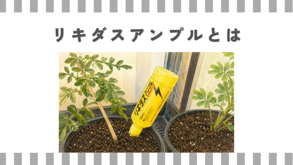 リキダスアンプルとは