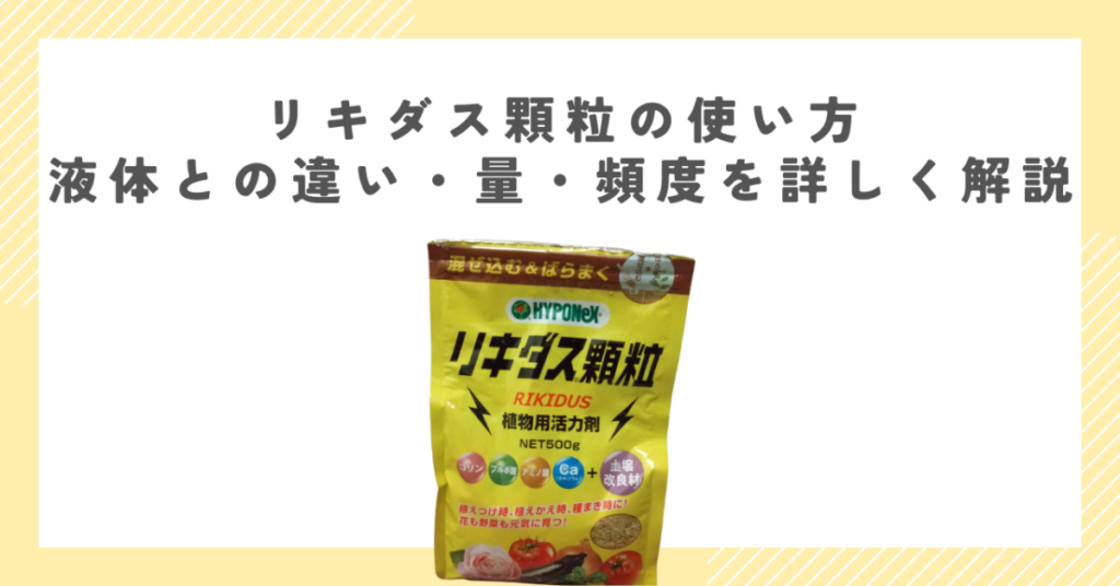 リキダス顆粒の使い方｜液体との違い・量・頻度を詳しく解説
