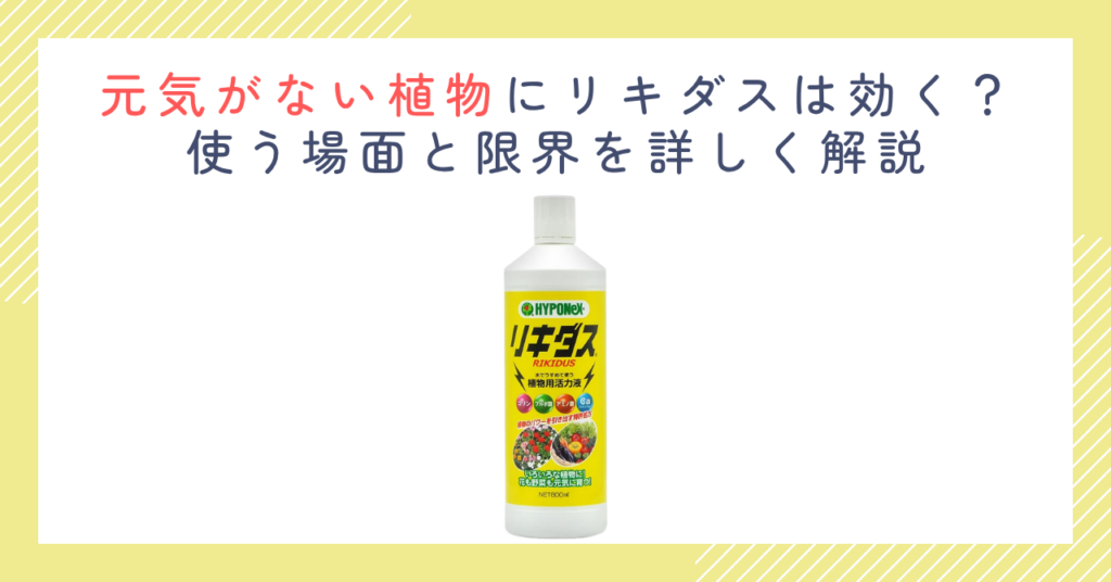 元気がない植物にリキダスは効く？使う場面と限界を詳しく解説