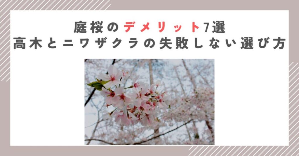 庭桜のデメリット7選｜高木とニワザクラの失敗しない選び方