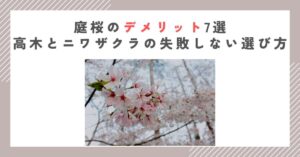 庭桜のデメリット7選｜高木とニワザクラの失敗しない選び方