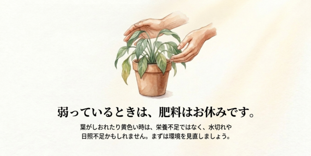 しおれた鉢植えを確認するイラストと、肥料を与える前に水やりや日当たりなどの栽培環境を見直すよう促すスライド