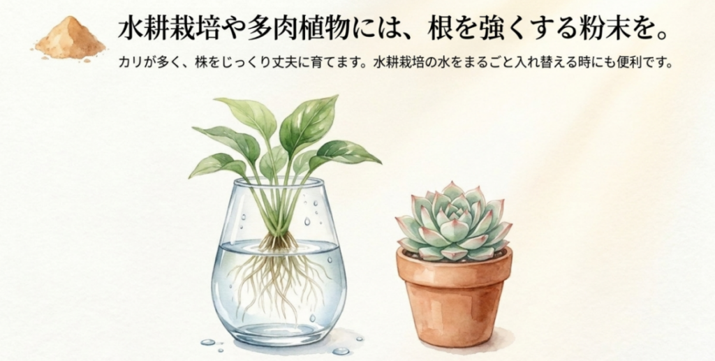 水耕栽培の植物と鉢植えの多肉植物を並べ、カリの多い微粉ハイポネックスを使う場面を示したスライド