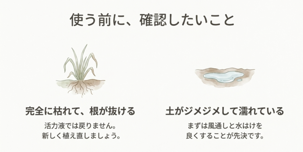 完全に枯れて根が抜ける芝生は植え直し、土がじめじめ濡れている芝生は風通しと水はけを優先する図