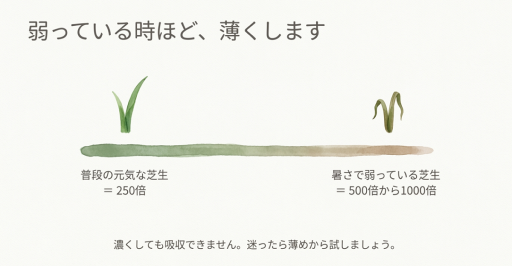 元気な芝生は250倍、暑さで弱った芝生は500〜1000倍へ薄めるリキダスの希釈目安