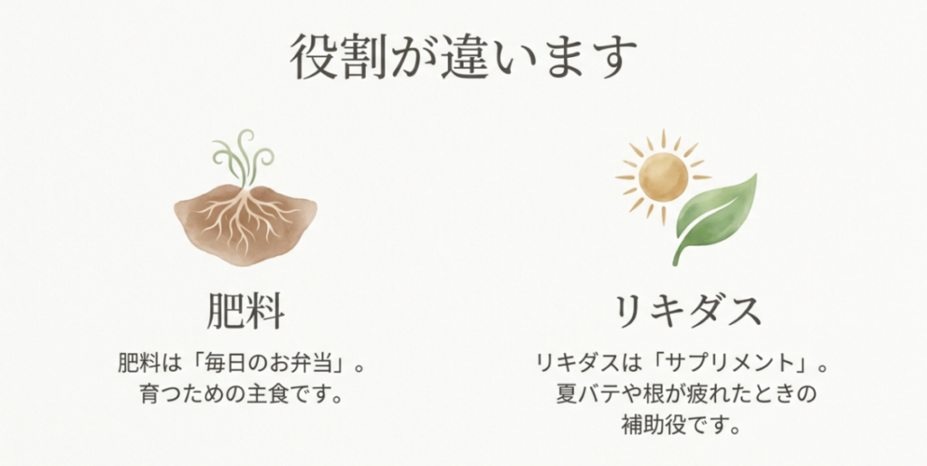 肥料は芝生を育てる主食、リキダスは夏バテや根の疲れを支える補助役であることを比較した図