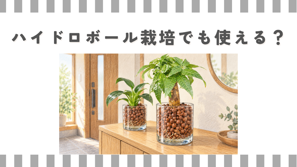 リキダス：ハイドロボール栽培でも使える？