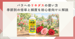 バラへのリキダスの使い方｜季節別の倍率と頻度を初心者向けに解説
