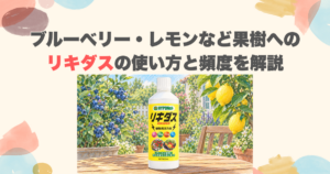 ブルーベリー・レモンなど果樹へのリキダスの使い方と頻度を解説