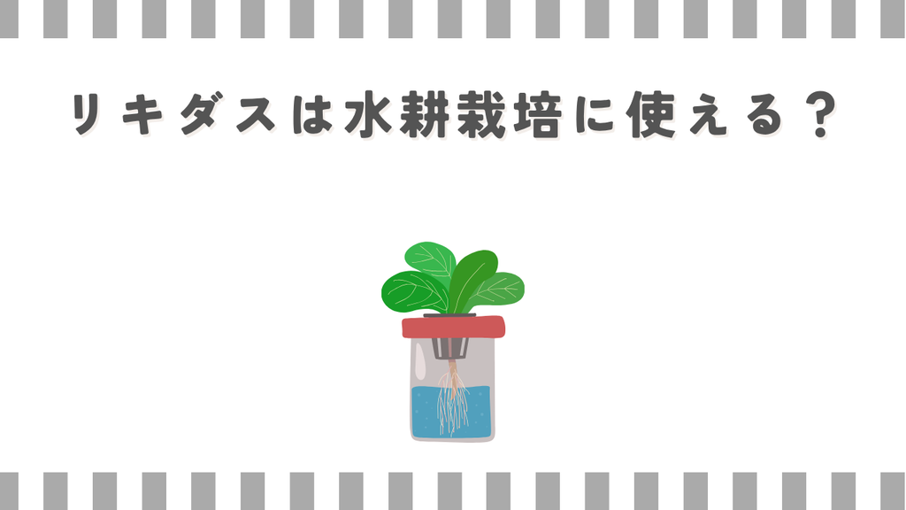 リキダスは水耕栽培に使える？