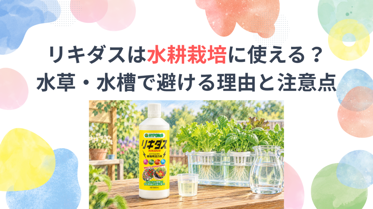 リキダスは水耕栽培に使える？水草・水槽で避ける理由と注意点