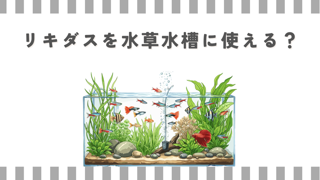 リキダスを水草水槽に使える？