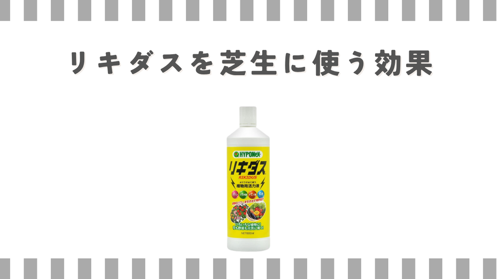 リキダスを芝生に使う効果