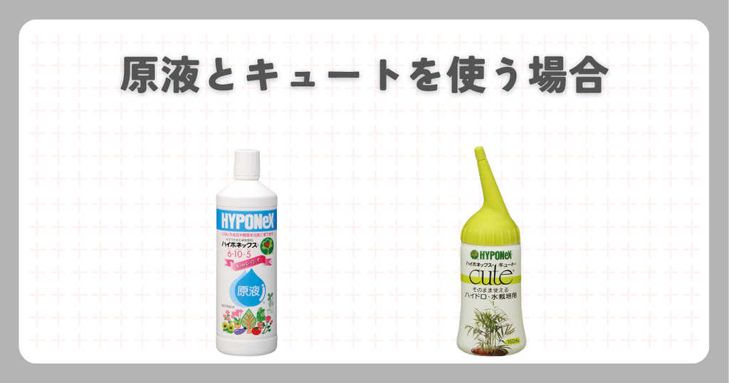 ハイポネックス:原液とキュートを使う場合