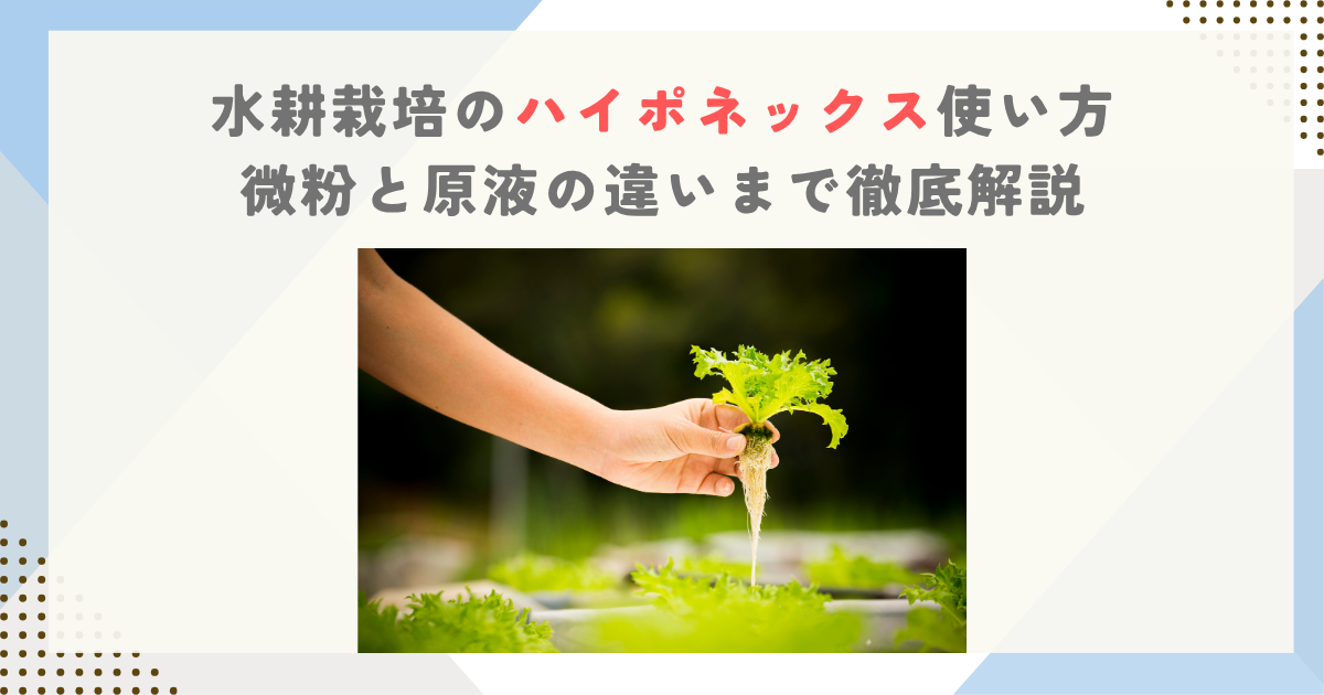 水耕栽培のハイポネックス使い方｜微粉と原液の違いまで徹底解説