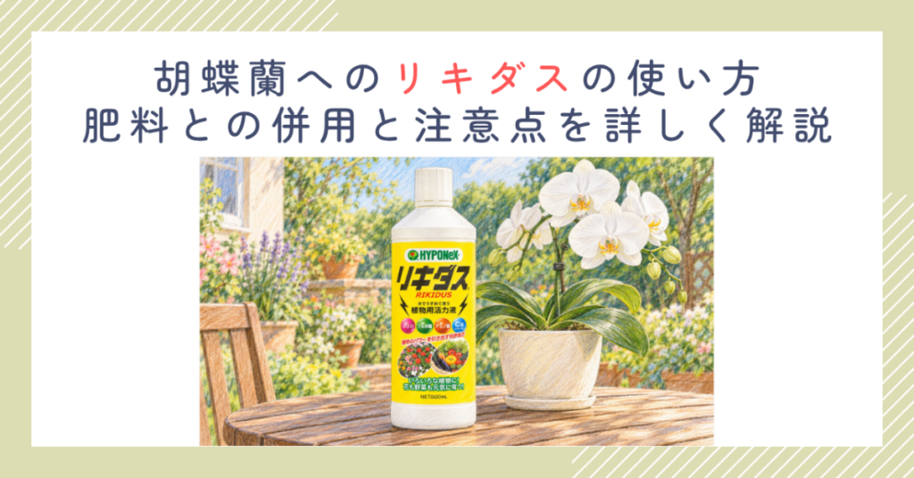 胡蝶蘭へのリキダスの使い方｜肥料との併用と注意点を詳しく解説