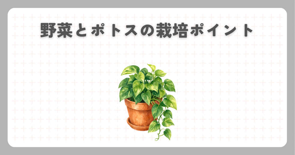 ハイポネックス:野菜とポトスの栽培ポイント