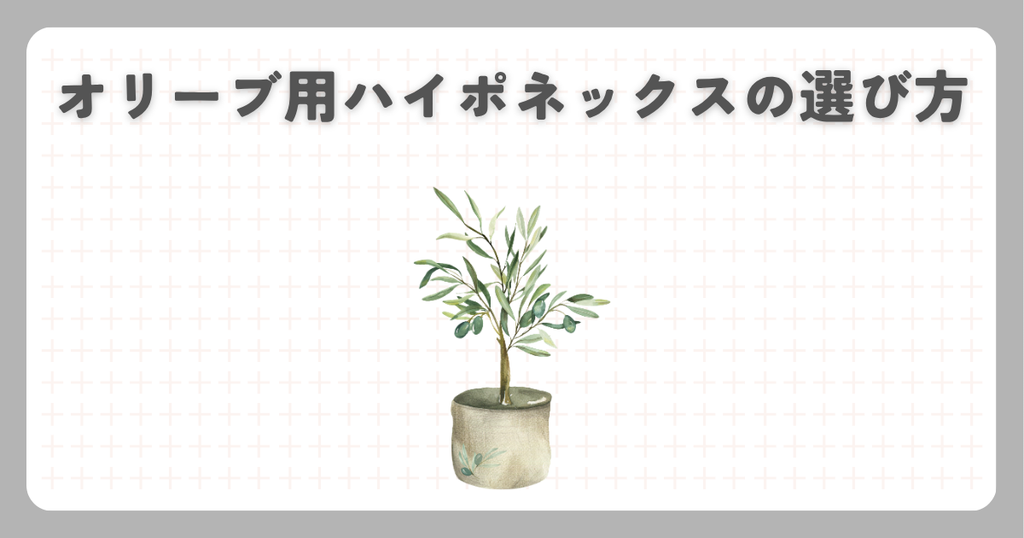 オリーブ用ハイポネックスの選び方