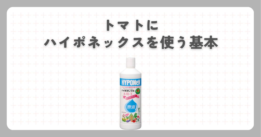 トマトにハイポネックスを使う基本