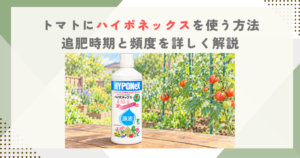 トマトにハイポネックスを使う方法｜追肥時期と頻度を詳しく解説