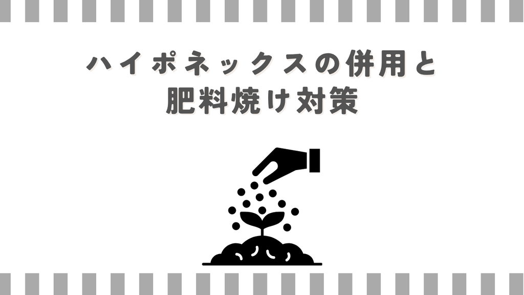 ハイポネックスの併用と肥料焼け対策