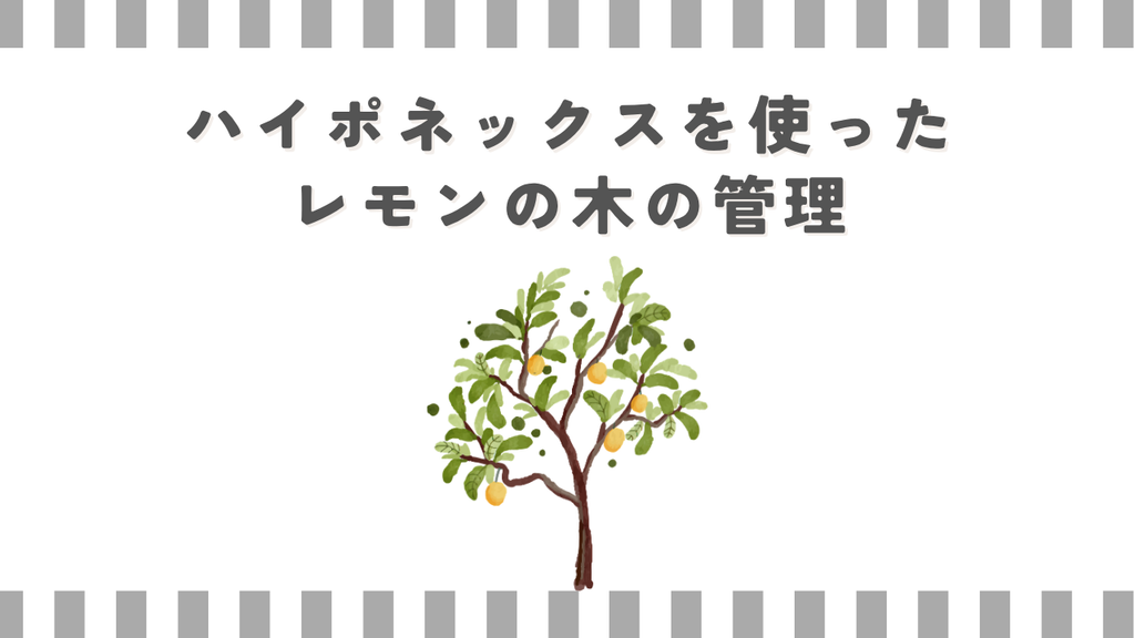 ハイポネックスを使ったレモンの木の管理
