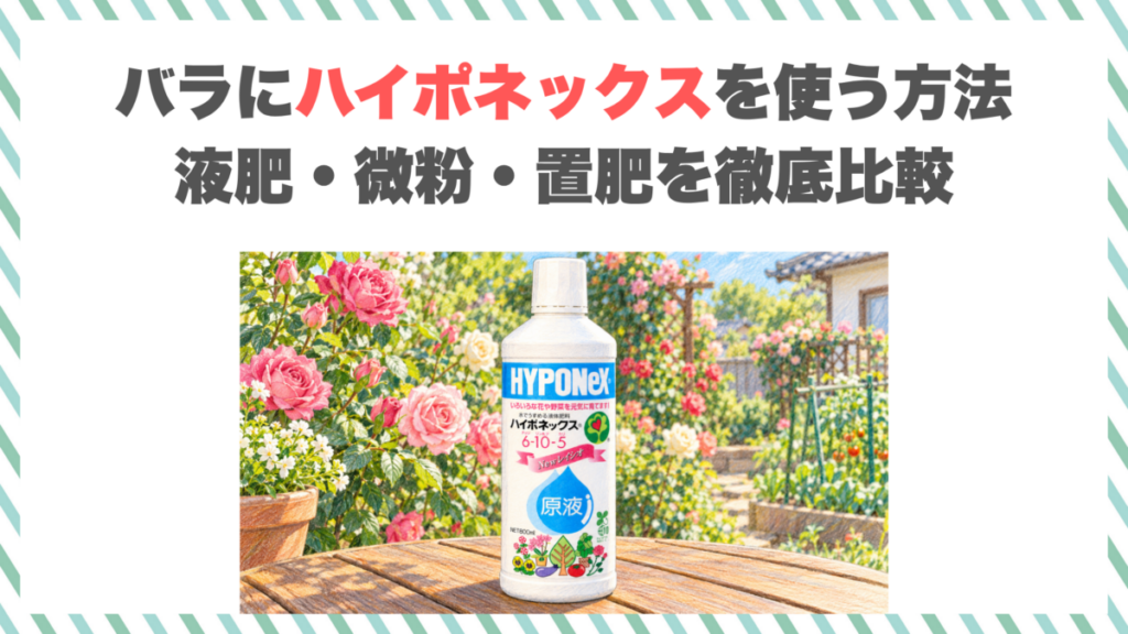 バラにハイポネックスを使う方法｜液肥・微粉・置肥を徹底比較