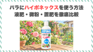 バラにハイポネックスを使う方法｜液肥・微粉・置肥を徹底比較