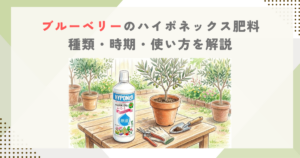 ブルーベリーのハイポネックス肥料｜種類・時期・使い方を解説