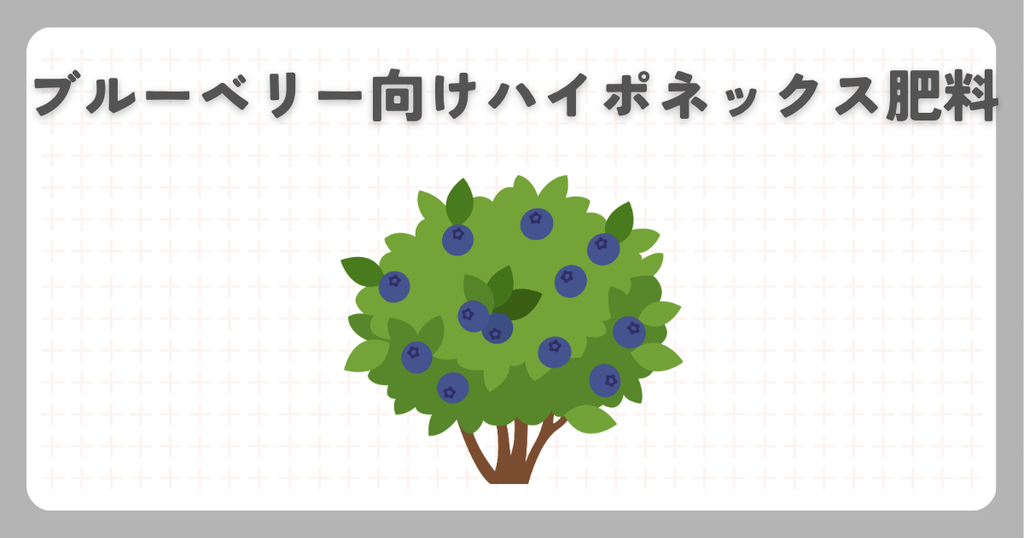 ブルーベリー向けハイポネックス肥料