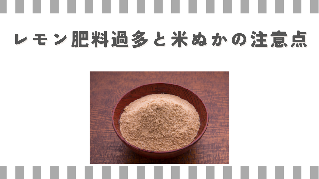 レモン肥料過多と米ぬかの注意点